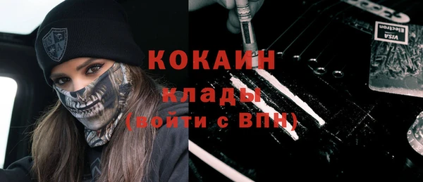 прущий лед Бородино