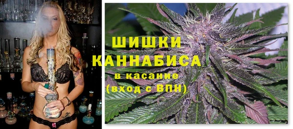 прущий лед Бородино