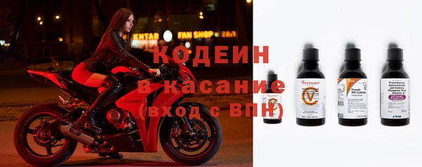 прущий лед Бородино