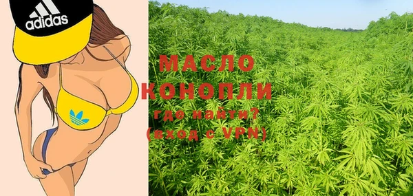 прущий лед Бородино